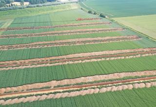 Tranchées de diagnostic archéologiques à Gosnay